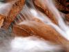 Water Rush